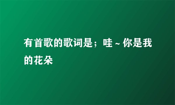 有首歌的歌词是；哇～你是我的花朵