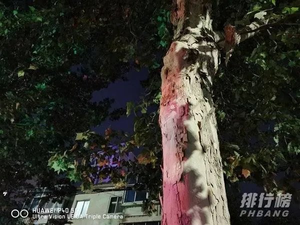 华为mate30和p40哪个拍照效果好_华为mate30和p40对比哪个好