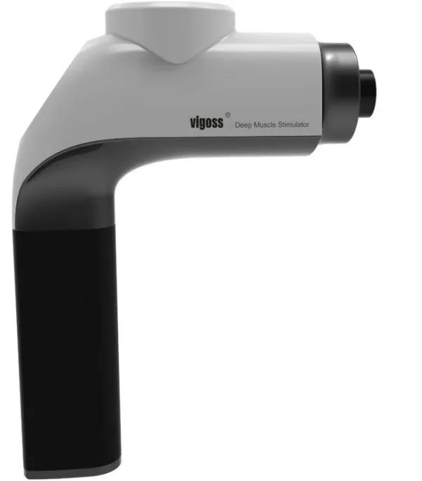 YamateH和vigoss分别是什么意思