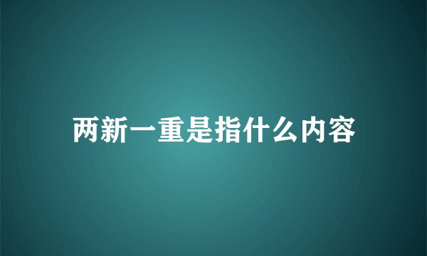 两新一重是指什么内容