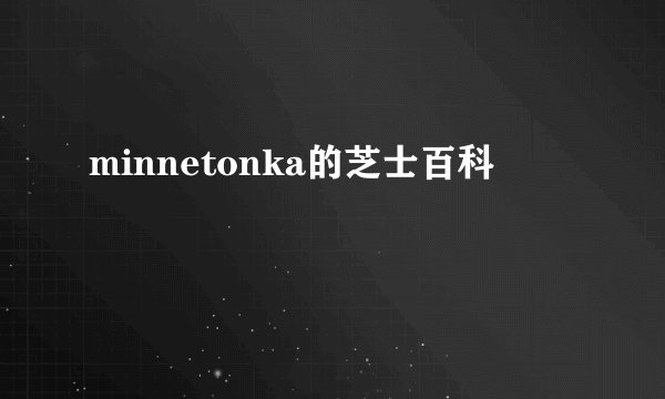 minnetonka的芝士百科