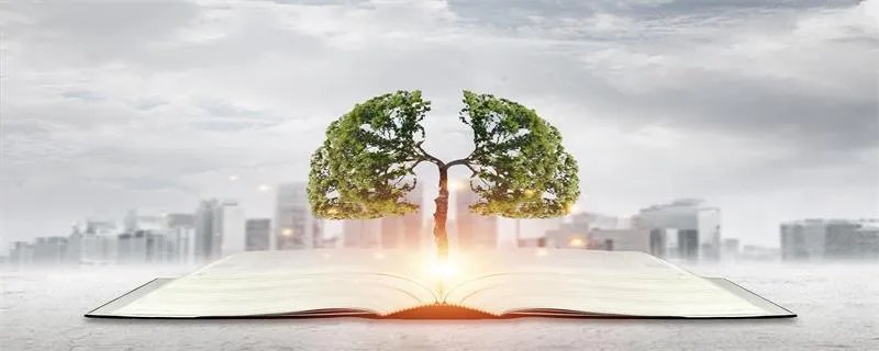 张籍的诗有哪些