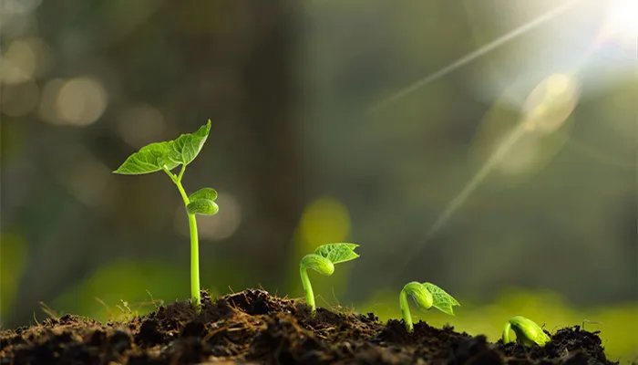 什么是可再生资源 什么叫可再生资源