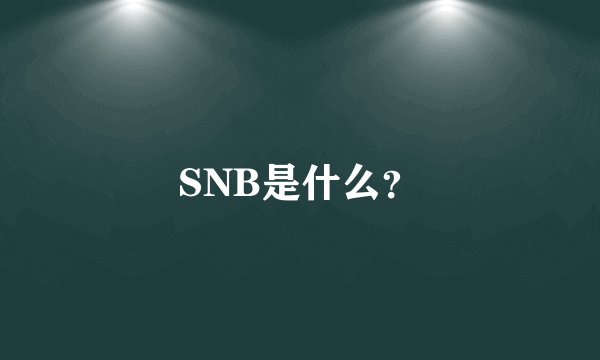 SNB是什么？