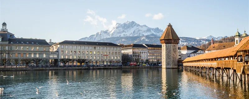 瑞典和瑞士属于一个国家吗 瑞典和瑞士的特征