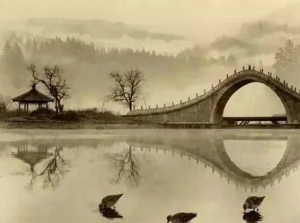 人文素养是什么意思