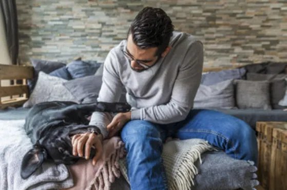 梦见狗咬到手是什么意思 梦见狗咬到手有什么预兆