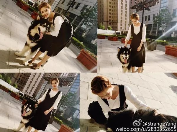 天津为什么多美女？