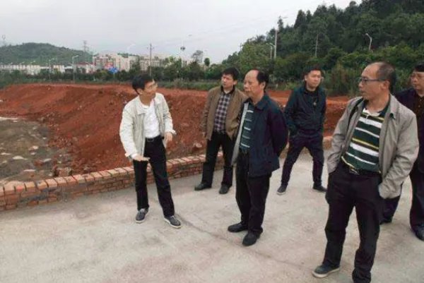 郴州电力公司合并