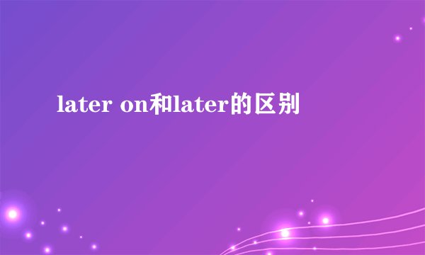 later on和later的区别
