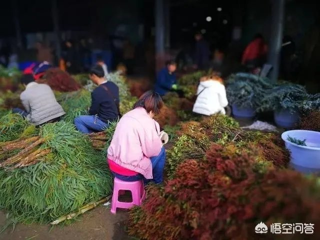 云南有哪些大的鲜花市场?