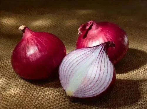 床上放什么可以驱蟑螂