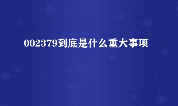002379到底是什么重大事项