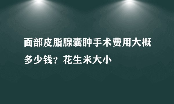 面部皮脂腺囊肿手术费用大概多少钱？花生米大小