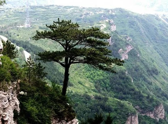 山西恒山好在哪？