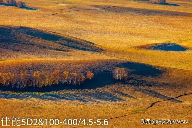 佳能100-400镜头适合拍什么?