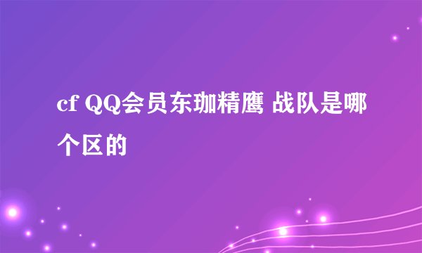 cf QQ会员东珈精鹰 战队是哪个区的