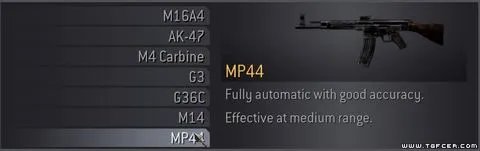 COD4:武器 突击步枪详解