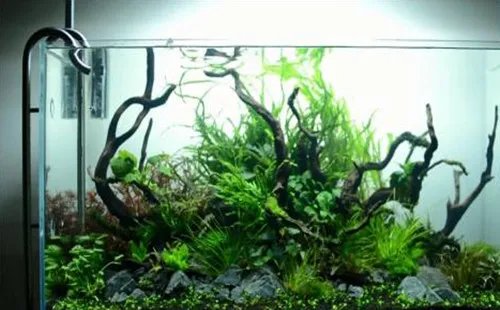 火山岩石材用途有哪些 火山岩石材有什么特征