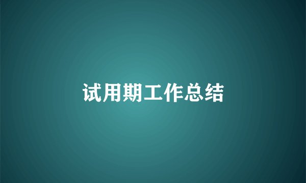 试用期工作总结