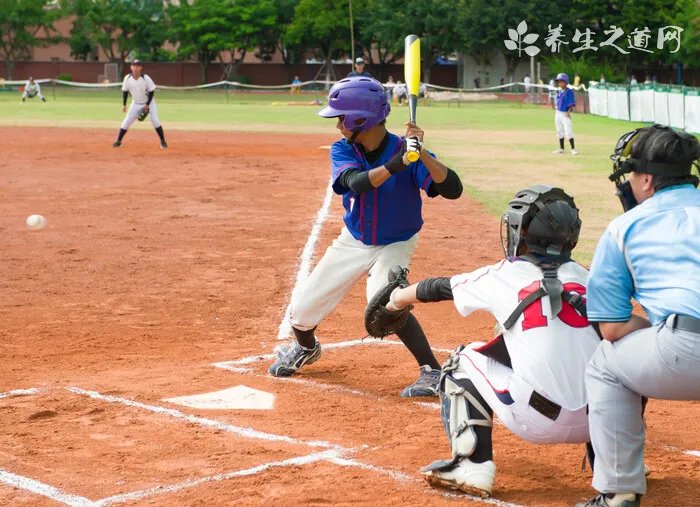 蜂王胎的作用与功效及禁忌人群