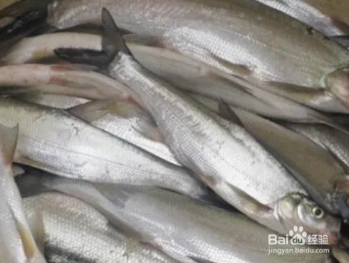 做什么生意最赚钱？