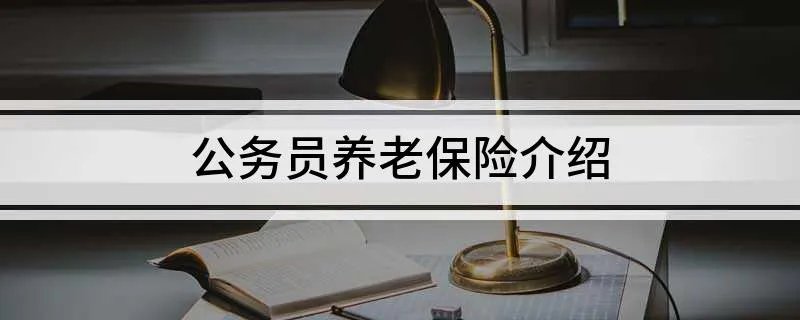 公务员养老保险介绍