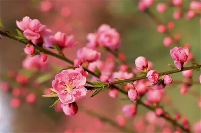 昆明,你就是个P!