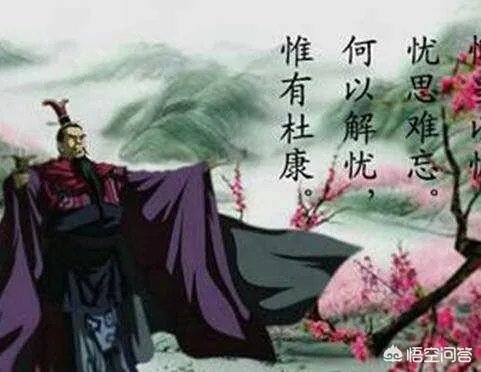 关于近期陕西媒体华山网将短歌行中的“何以解愁，唯有杜康”说成白水杜康，大家怎么看？