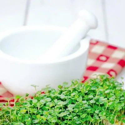 吃了紧急避孕药月经会推迟吗