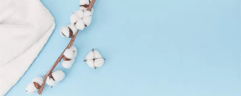 印度棉花几月份种植 印度棉花种植时间