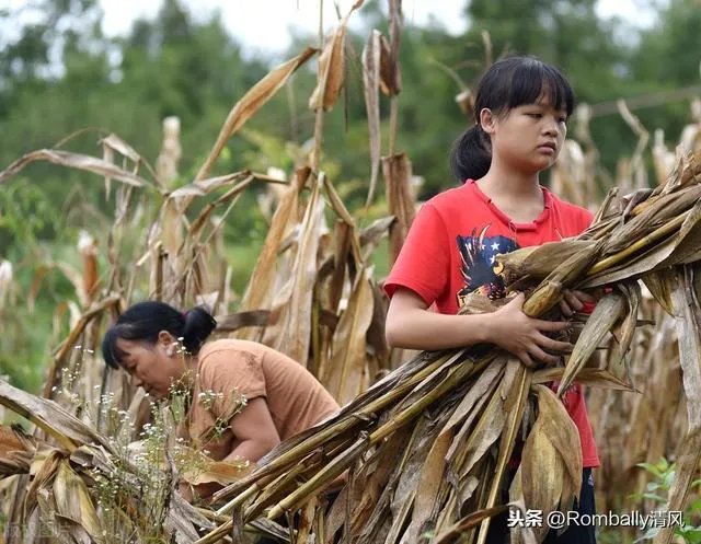 西南交通大学取消陈玉钰保研资格，保研成绩存在弄虚作假，而且其父母都在西南交大任职，对此你怎么看？