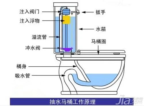 抽水马桶结构图 抽水马桶结构分析