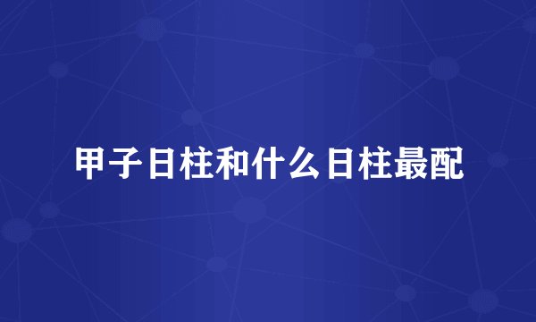 甲子日柱和什么日柱最配