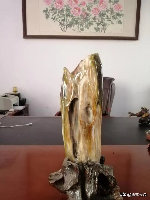 真正的树化石价格