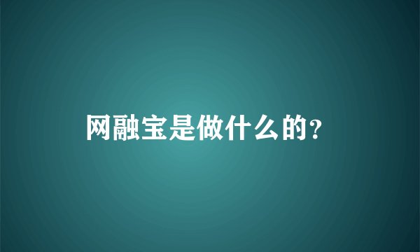 网融宝是做什么的？