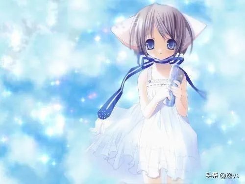 谁是世界上最漂亮的人？