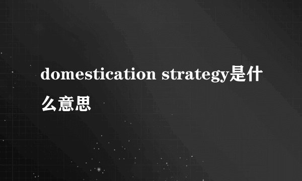 domestication strategy是什么意思