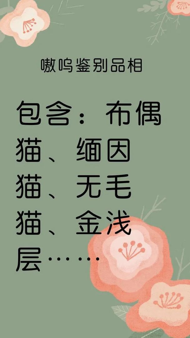 无毛猫价格上猫舍和个人的多少钱？