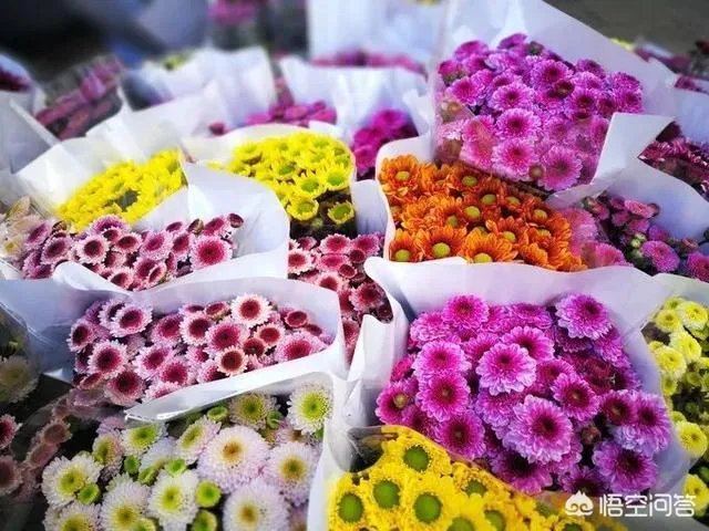 云南有哪些大的鲜花市场?