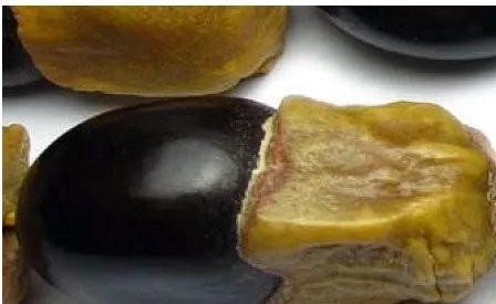 菩提子的种类及各种形态和功效