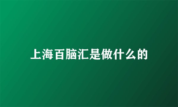 上海百脑汇是做什么的