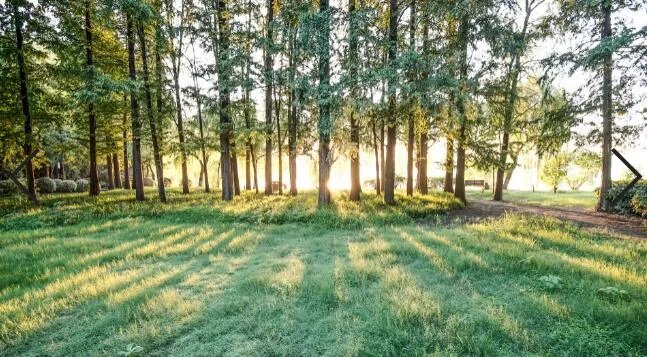 2020发朋友圈早安的句子 朋友圈早安正能量简单一句话