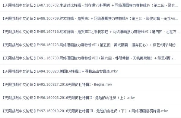 无限挑战2016目录