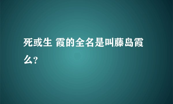 死或生 霞的全名是叫藤岛霞么？