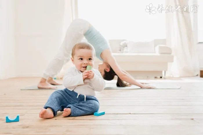黑茶金花茶功效与作用