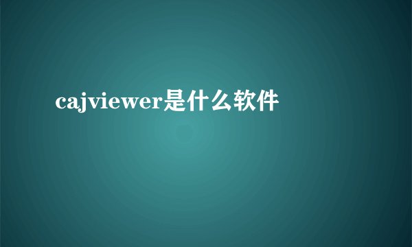 cajviewer是什么软件