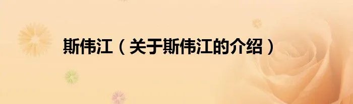 斯伟江（关于斯伟江的介绍）