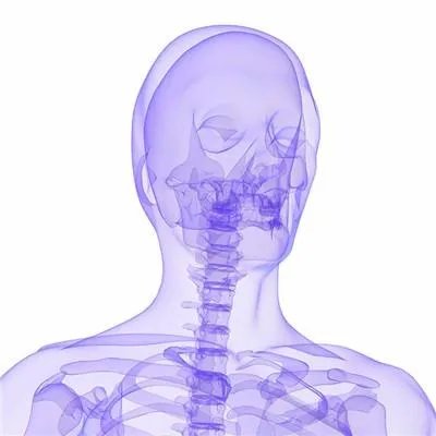 肝脏不好的症状有哪些