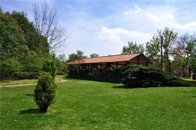 昆明,你就是个P!